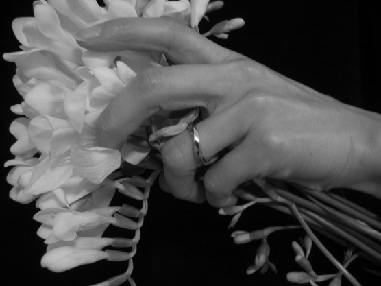 Moebius/Ring: NISHIKAWA Katsuhito